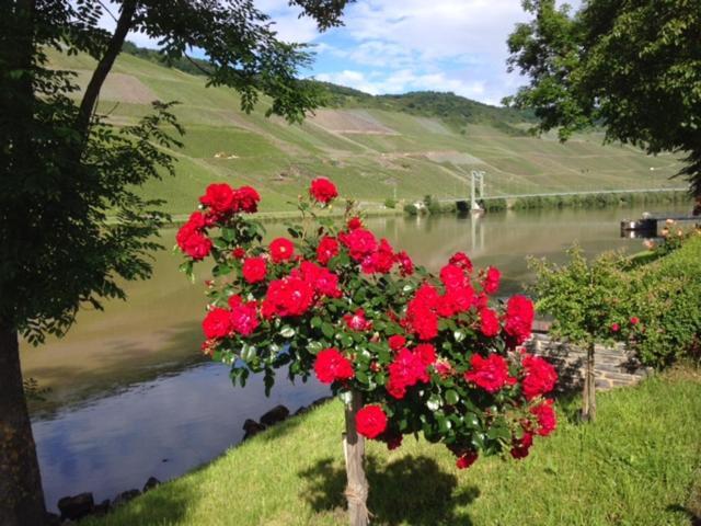 Ferien-Wein-Gut Keifer Hotel แบร์นคาสเทล-คืสท์ ภายนอก รูปภาพ